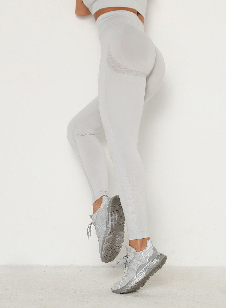 Squat Proof Seamless Multiple Color Women Fitness Legging-JustFittoo