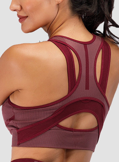 Gradient Change Women Sports Bras Seamless Tops