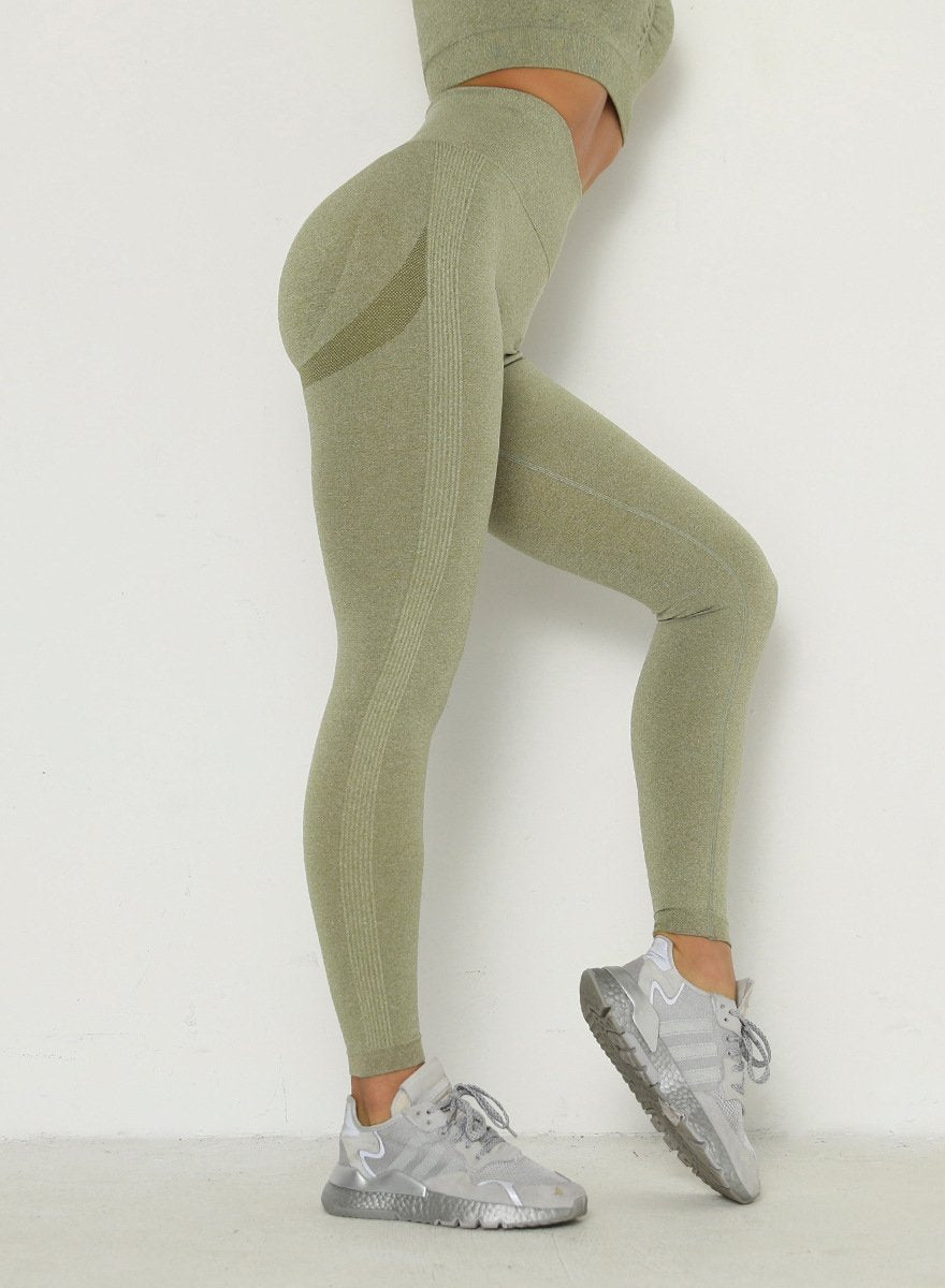 Squat Proof Seamless Multiple Color Women Fitness Legging-JustFittoo