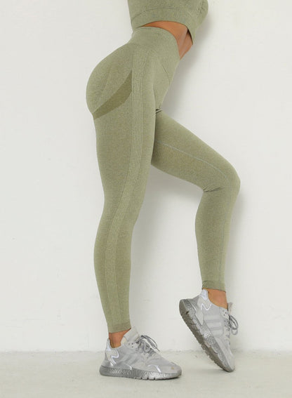 Squat Proof Seamless Multiple Color Women Fitness Legging-JustFittoo