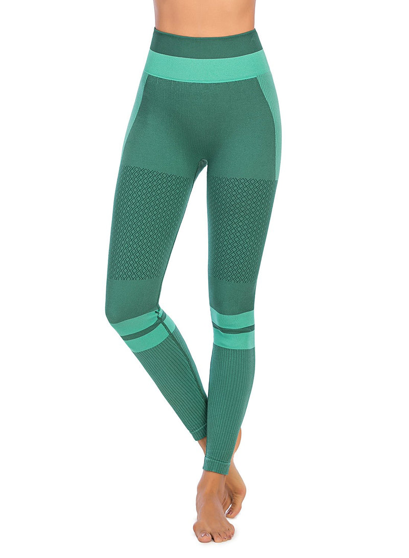 High Quality Seamless Squat-proof Women Fitness Leggings-JustFittoo