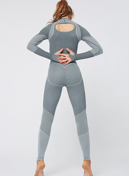 Body Shaping Seamless Long Sleeve Sport Top and Legging-JustFittoo