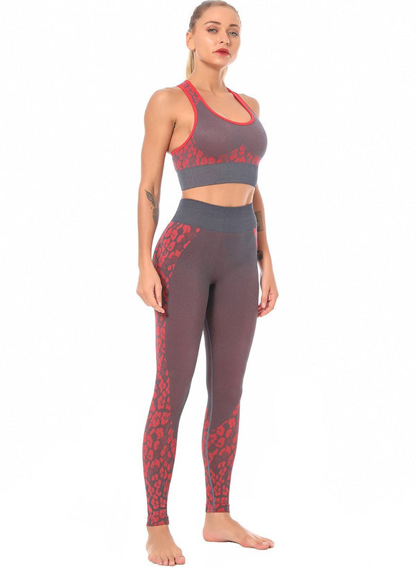 Breathable High Supportive Women Seamleass Sports Bra and Legging