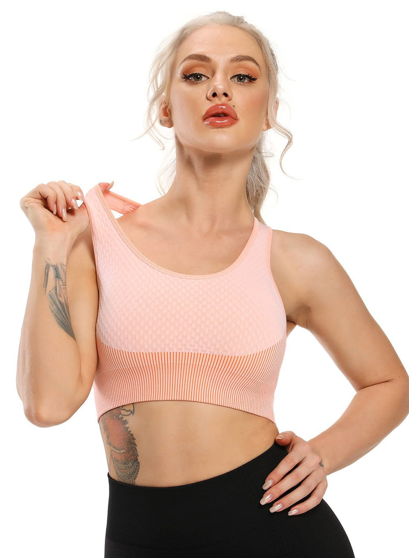 Women Contrast Color Seamless Sports Bra