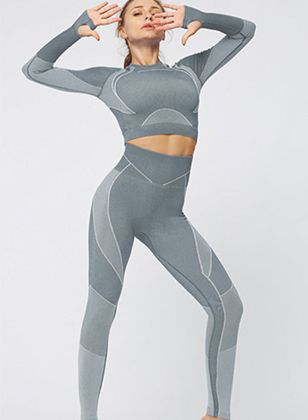 Body Shaping Seamless Long Sleeve Sport Top and Legging-JustFittoo