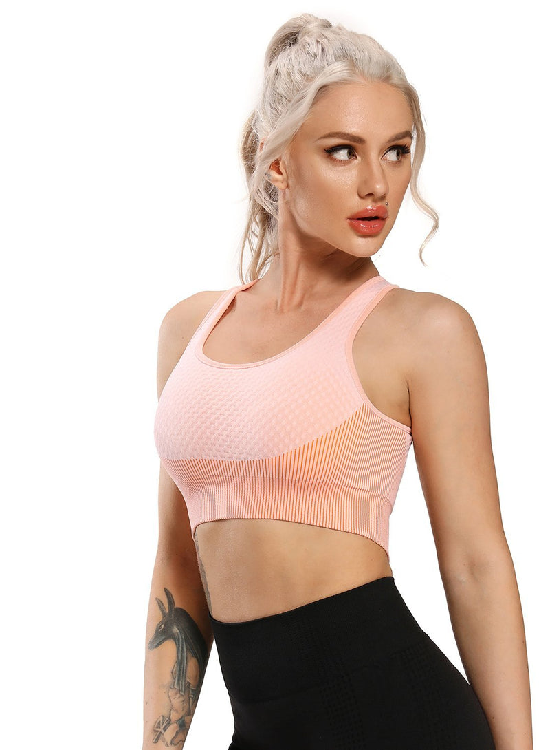 Women Contrast Color Seamless Sports Bra
