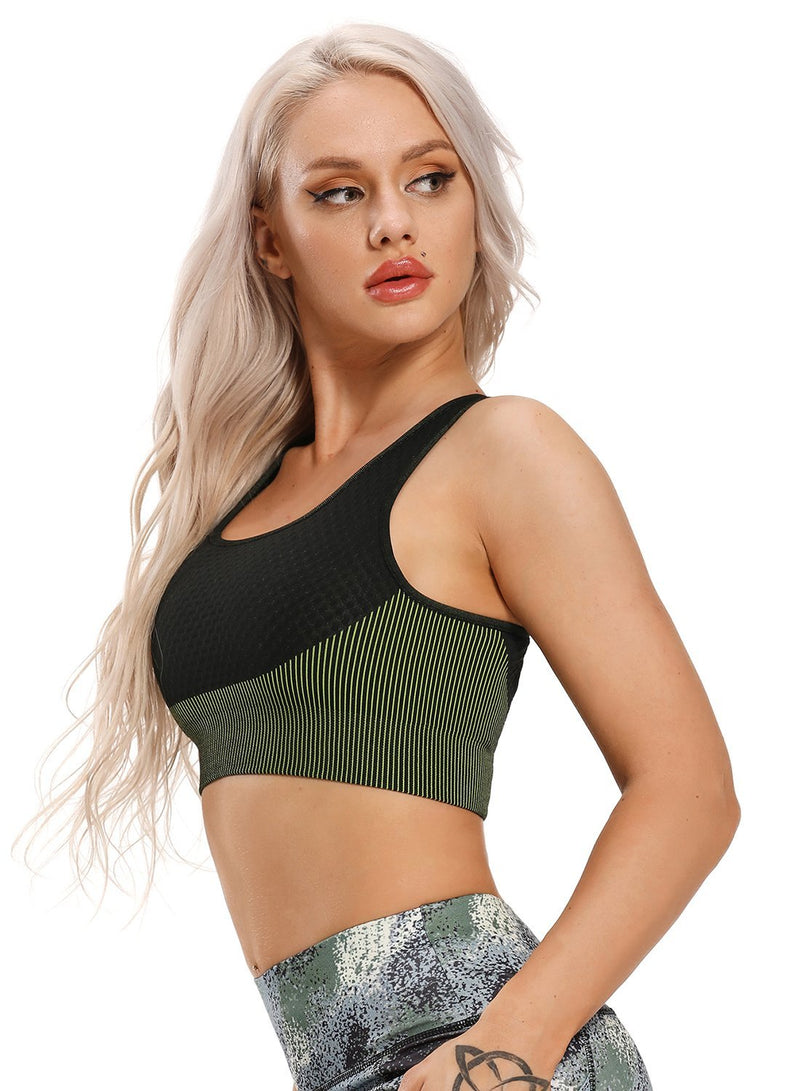 Women Contrast Color Seamless Sports Bra