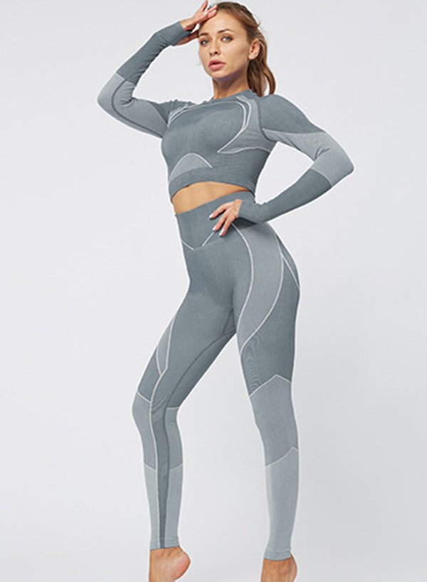 Body Shaping Seamless Long Sleeve Sport Top and Legging-JustFittoo