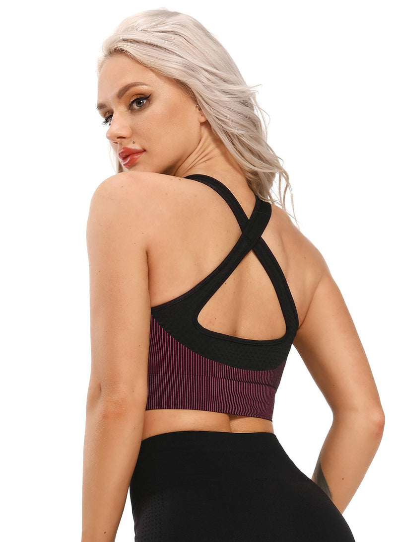 Women Contrast Color Seamless Sports Bra