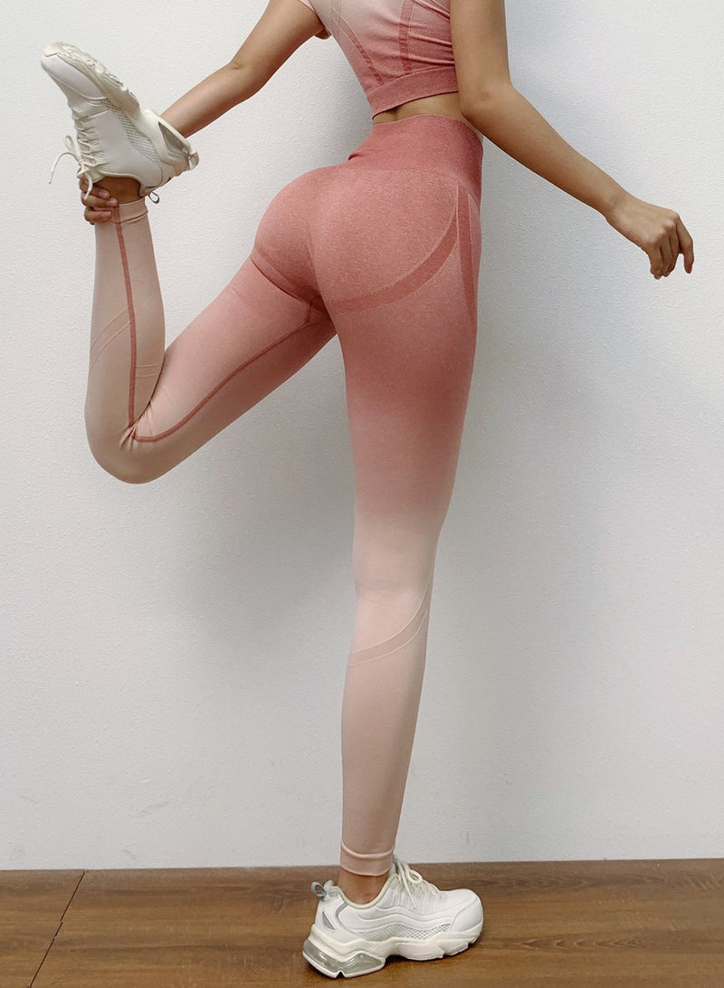 Fittoo Seamless Leggings Hollow Out Tone in Tone Leggings