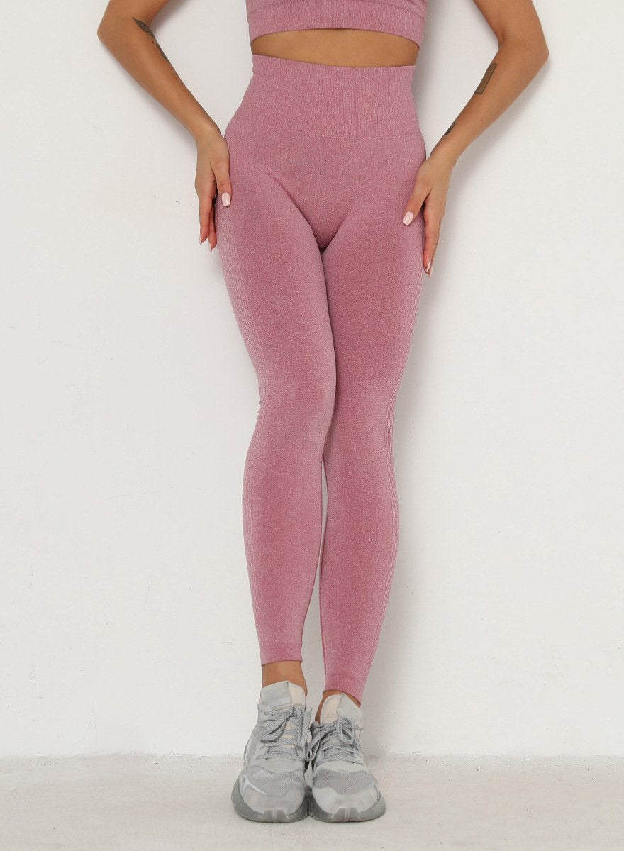 Squat Proof Seamless Multiple Color Women Fitness Legging-JustFittoo