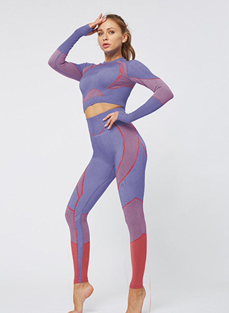 Body Shaping Seamless Long Sleeve Sport Top and Legging-JustFittoo